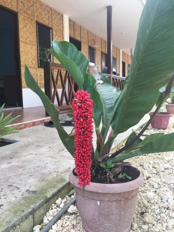 Panglao Rainbow Inn Tagbilaran Eksteriør bilde